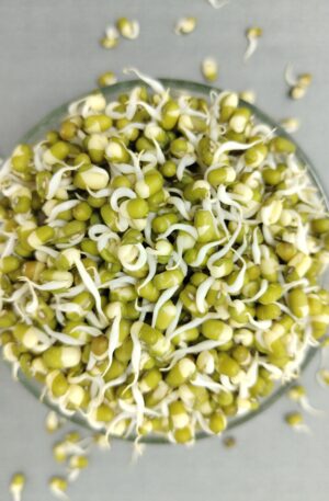 Sprouts